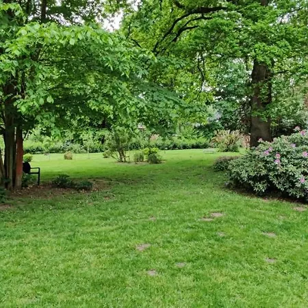 Kunterbunt, Gemuetlichkeit Am Waldesrand
