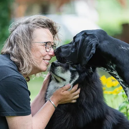 Daire Kunterbunt, Gemuetlichkeit Am Waldesrand Drangstedt