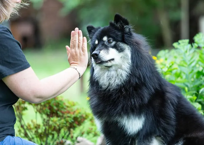 Kunterbunt, Gemütlichkeit Am Waldesrand Drangstedt