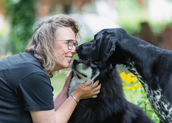 Apartamento Kunterbunt, Gemütlichkeit Am Waldesrand Drangstedt